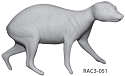 RAC3-051